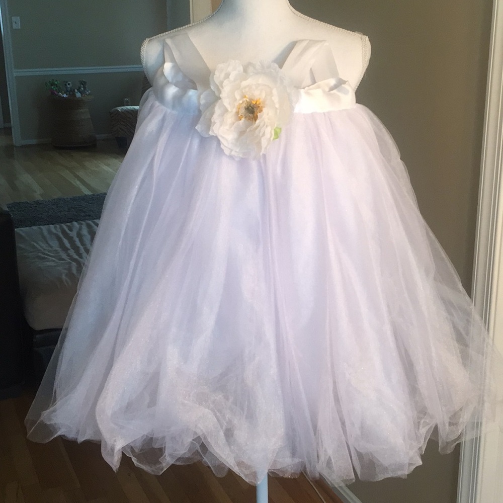 Girls Tule dress